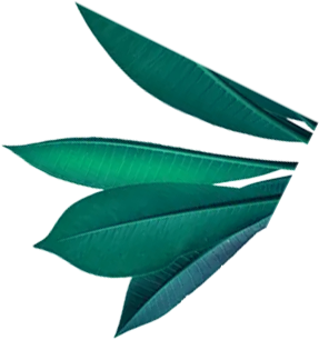 西安樂昊然環?？萍加邢薰? class=